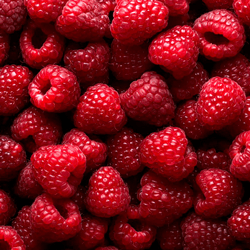 Raspberries HoReCa