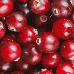 Cranberries HoReCa