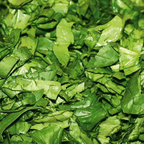 Cut Spinach HoReCa ТМ «Rud»