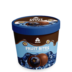 FRUIT BITES ГОЛУБИКА В МОЛОЧНОМ ШОКОЛАДЕ
