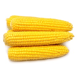 Frozen corn, cobs
