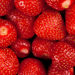 Strawberries HoReCa