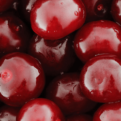 Pitted Cherries HoReCa